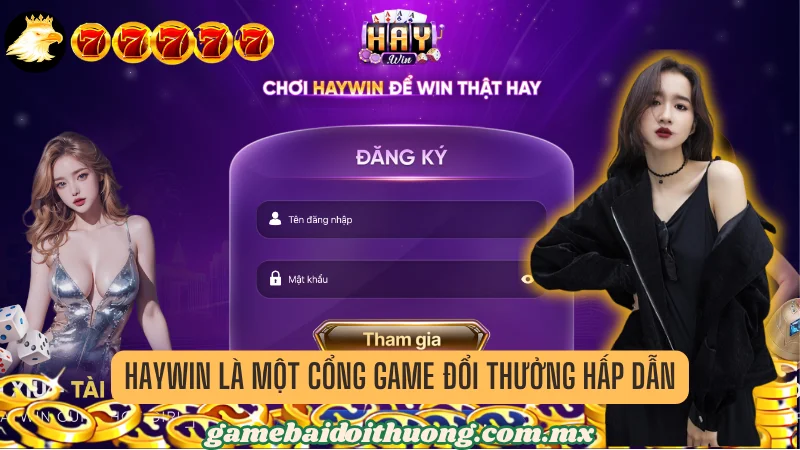 Tổng Quan Về Haywin